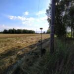 pomiary geodezyjne sieci energetycznej